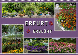Erfurt erblüht (Wandkalender 2023 DIN A2 quer) von & Hermann Koch,  Elke