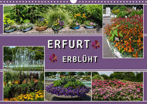 Erfurt erblüht (Wandkalender 2023 DIN A3 quer) von & Hermann Koch,  Elke