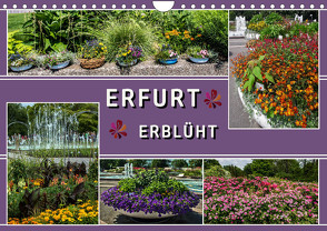 Erfurt erblüht (Wandkalender 2023 DIN A4 quer) von & Hermann Koch,  Elke