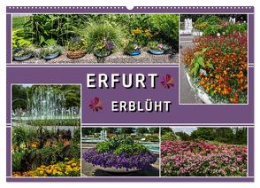 Erfurt erblüht (Wandkalender 2024 DIN A2 quer), CALVENDO Monatskalender von & Hermann Koch,  Elke