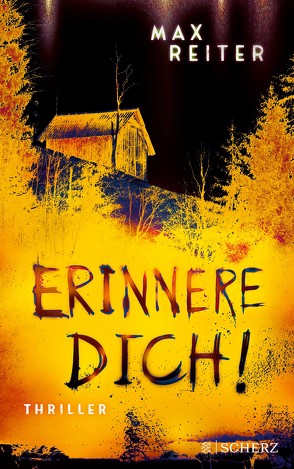 Erinnere dich! von Reiter,  Max