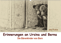Erinnerungen an Ursina und Berna. Die Bärenkinder von Bern. Alte Fotos (Wandkalender 2021 DIN A2 quer) von Michel / CH,  Susan