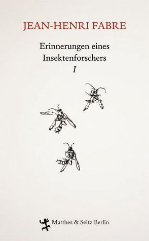 Erinnerungen eines Insektenforschers I von Fabre,  Jean-Henri, Koch,  Friedrich, Thanhäuser,  Christian