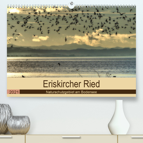 Eriskircher Ried – Naturschutzgebiet am Bodensee (Premium, hochwertiger DIN A2 Wandkalender 2021, Kunstdruck in Hochglanz) von Brinker,  Sabine
