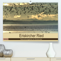Eriskircher Ried – Naturschutzgebiet am Bodensee (Premium, hochwertiger DIN A2 Wandkalender 2022, Kunstdruck in Hochglanz) von Brinker,  Sabine
