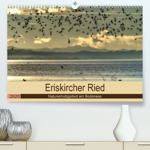 Eriskircher Ried – Naturschutzgebiet am Bodensee (Premium, hochwertiger DIN A2 Wandkalender 2020, Kunstdruck in Hochglanz) von Brinker,  Sabine