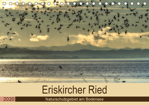 Eriskircher Ried – Naturschutzgebiet am Bodensee (Tischkalender 2020 DIN A5 quer) von Brinker,  Sabine