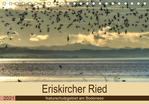Eriskircher Ried – Naturschutzgebiet am Bodensee (Tischkalender 2021 DIN A5 quer) von Brinker,  Sabine