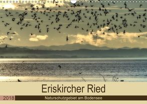 Eriskircher Ried – Naturschutzgebiet am Bodensee (Wandkalender 2018 DIN A3 quer) von Brinker,  Sabine