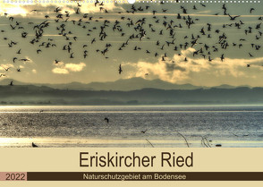 Eriskircher Ried – Naturschutzgebiet am Bodensee (Wandkalender 2022 DIN A2 quer) von Brinker,  Sabine