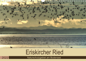 Eriskircher Ried – Naturschutzgebiet am Bodensee (Wandkalender 2022 DIN A3 quer) von Brinker,  Sabine