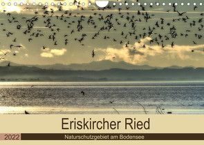 Eriskircher Ried – Naturschutzgebiet am Bodensee (Wandkalender 2022 DIN A4 quer) von Brinker,  Sabine