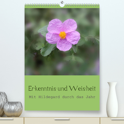 Erkenntnis und Weisheit – Hildegard von Bingen (Premium, hochwertiger DIN A2 Wandkalender 2023, Kunstdruck in Hochglanz) von Bergmann,  Christine