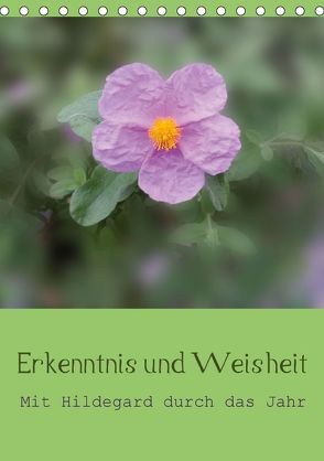 Erkenntnis und Weisheit – Hildegard von Bingen (Tischkalender 2018 DIN A5 hoch) von Bergmann,  Christine