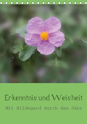 Erkenntnis und Weisheit – Hildegard von Bingen (Tischkalender 2019 DIN A5 hoch) von Bergmann,  Christine