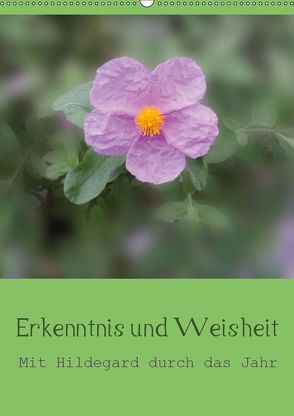 Erkenntnis und Weisheit – Hildegard von Bingen (Wandkalender 2019 DIN A2 hoch) von Bergmann,  Christine