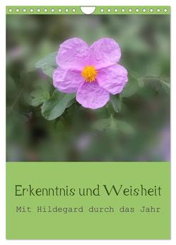 Erkenntnis und Weisheit – Hildegard von Bingen (Wandkalender 2024 DIN A4 hoch), CALVENDO Monatskalender von Bergmann,  Christine