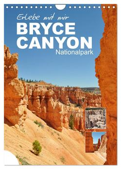Erlebe mit mir den Bryce Canyon Nationalpark (Wandkalender 2024 DIN A4 hoch), CALVENDO Monatskalender von Büscher,  Nadine