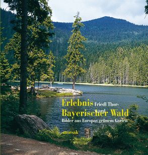 Erlebnis Bayerischer Wald von Friedl,  Stefanie, Thorward,  Friedl
