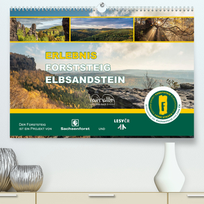 Erlebnis Forststeig Elbsandstein (hochwertiger Premium Wandkalender 2024 DIN A2 quer), Kunstdruck in Hochglanz von Walther,  Kevin