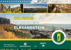 Erlebnis Forststeig Elbsandstein (Wandkalender 2024 DIN A4 quer), CALVENDO Monatskalender von Walther,  Kevin