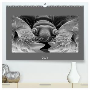 Erlebnis Mikrokosmos (hochwertiger Premium Wandkalender 2024 DIN A2 quer), Kunstdruck in Hochglanz von Schellhorn,  Steffen