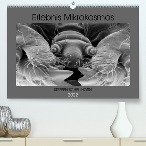 Erlebnis Mikrokosmos (Premium, hochwertiger DIN A2 Wandkalender 2022, Kunstdruck in Hochglanz) von Schellhorn,  Steffen