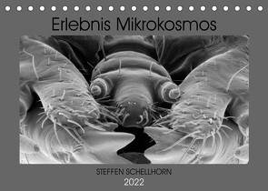 Erlebnis Mikrokosmos (Tischkalender 2022 DIN A5 quer) von Schellhorn,  Steffen