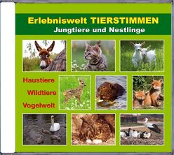 Erlebniswelt TIERSTIMMEN von Dingler,  Karl H