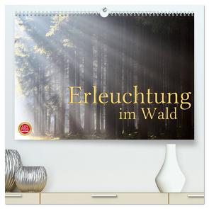 Erleuchtung im Wald (hochwertiger Premium Wandkalender 2024 DIN A2 quer), Kunstdruck in Hochglanz von Cross,  Martina