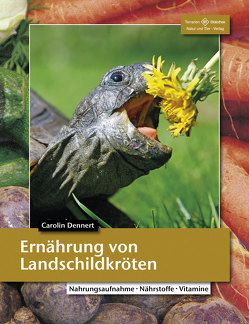 Ernährung von Landschildkröten von Dennert,  Dr. Carolin