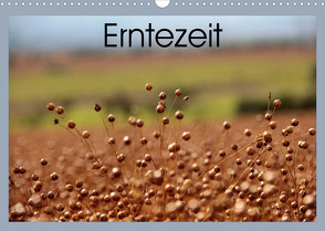 Erntezeit (Wandkalender 2023 DIN A3 quer) von Flori0