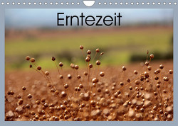 Erntezeit (Wandkalender 2023 DIN A4 quer) von Flori0