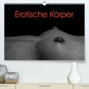 Erotische Körper (Premium, hochwertiger DIN A2 Wandkalender 2021, Kunstdruck in Hochglanz) von Stanzer,  Elisabeth