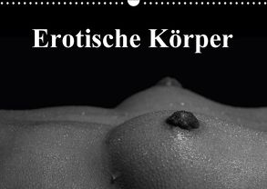 Erotische Körper (Wandkalender 2018 DIN A3 quer) von Stanzer,  Elisabeth