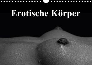 Erotische Körper (Wandkalender 2018 DIN A4 quer) von Stanzer,  Elisabeth