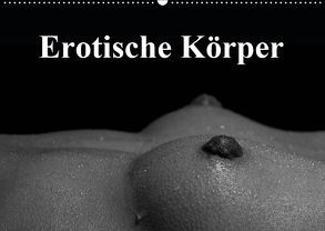 Erotische Körper (Wandkalender 2019 DIN A2 quer) von Stanzer,  Elisabeth