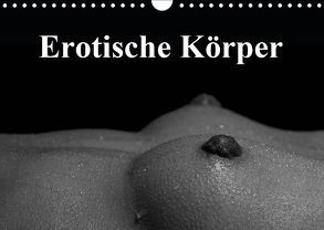 Erotische Körper (Wandkalender 2019 DIN A4 quer) von Stanzer,  Elisabeth