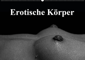 Erotische Körper (Wandkalender 2020 DIN A2 quer) von Stanzer,  Elisabeth