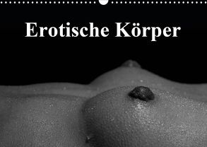 Erotische Körper (Wandkalender 2020 DIN A3 quer) von Stanzer,  Elisabeth