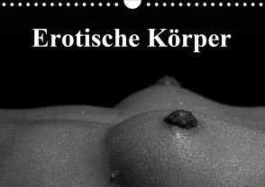Erotische Körper (Wandkalender 2020 DIN A4 quer) von Stanzer,  Elisabeth