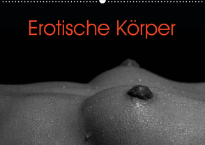Erotische Körper (Wandkalender 2021 DIN A2 quer) von Stanzer,  Elisabeth