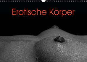 Erotische Körper (Wandkalender 2021 DIN A3 quer) von Stanzer,  Elisabeth