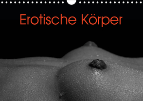 Erotische Körper (Wandkalender 2021 DIN A4 quer) von Stanzer,  Elisabeth