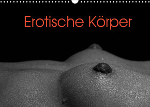 Erotische Körper (Wandkalender 2022 DIN A3 quer) von Stanzer,  Elisabeth