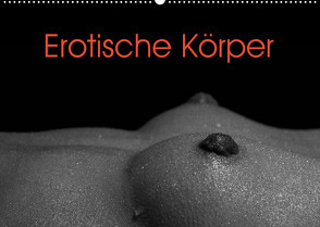 Erotische Körper (Wandkalender 2023 DIN A2 quer) von Stanzer,  Elisabeth