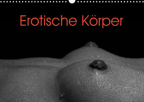 Erotische Körper (Wandkalender 2023 DIN A3 quer) von Stanzer,  Elisabeth