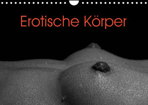 Erotische Körper (Wandkalender 2023 DIN A4 quer) von Stanzer,  Elisabeth