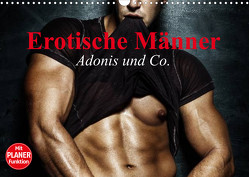 Erotische Männer. Adonis und Co. (Wandkalender 2023 DIN A3 quer) von Stanzer,  Elisabeth
