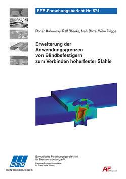 Erweiterung der Anwendungsgrenzen von Blindbefestigern zum Verbinden höherfester Stähle von Dörre,  Maik, Flügge,  Wilko, Glienke,  Ralf, Kalkowsky,  Florian